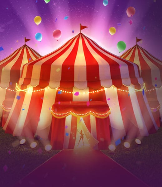 Circus Delight
